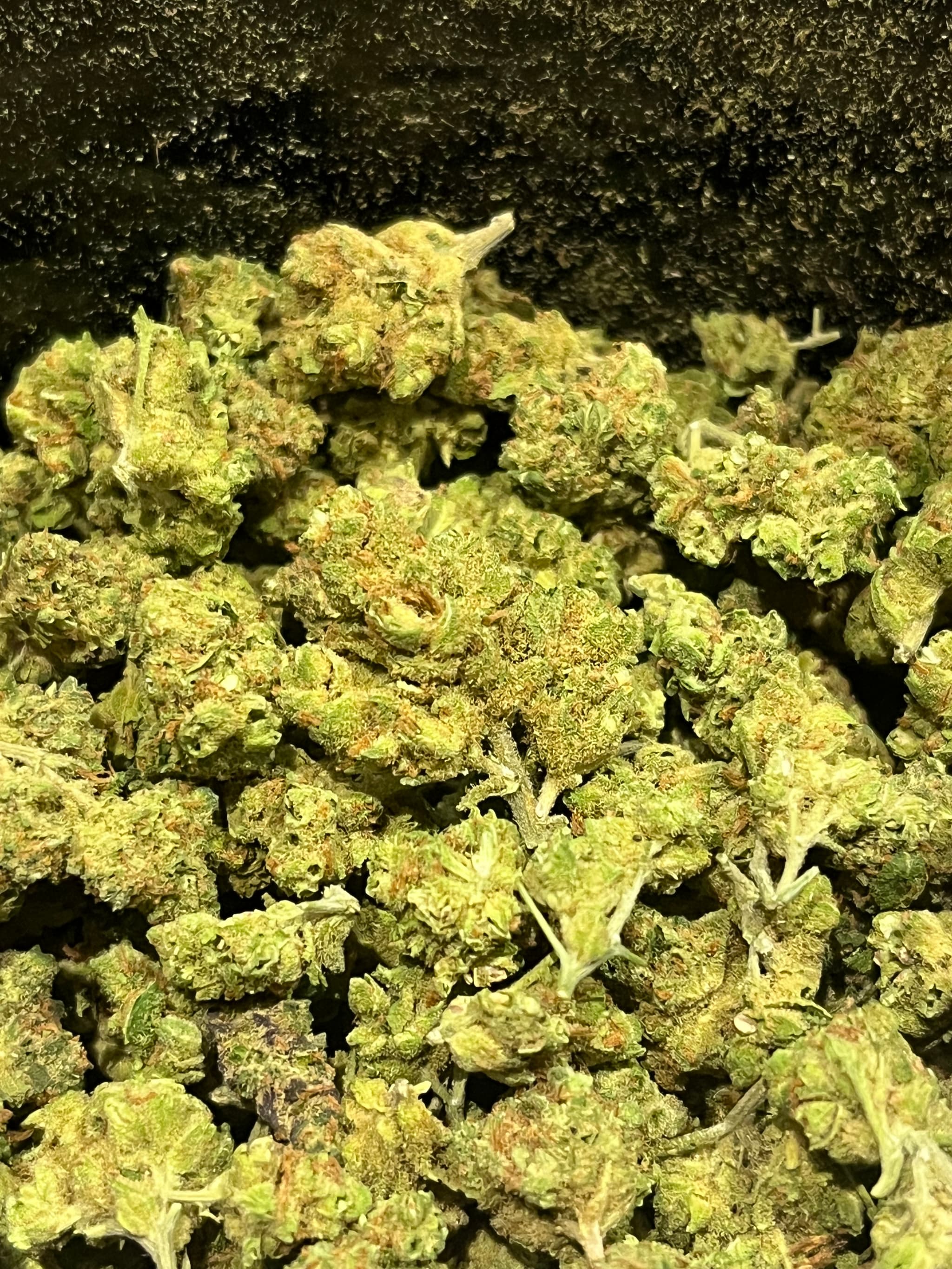 Amnesia meduim Bud 10g